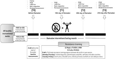 Effects of time-of-day resistance training on muscle strength, hormonal adaptations, and sleep quality during Ramadan fasting